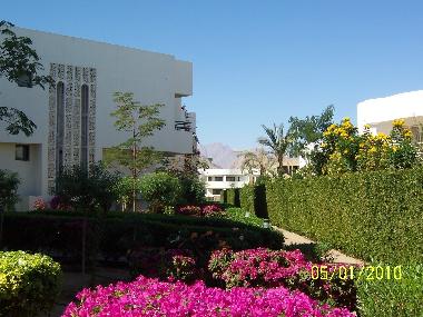 Holiday Apartment in Sharm el Sheikh (Janub Sina