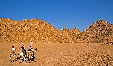 Holiday Apartment in Sharm el Sheikh (Janub Sina