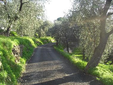 Holiday Apartment in San Bartolomeo al Mare (Imperia) or holiday homes and vacation rentals