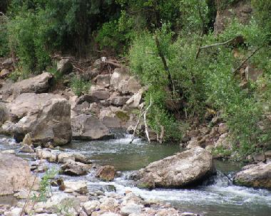 Holiday House in Grazalema Park (Cdiz) or holiday homes and vacation rentals