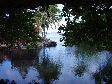 Holiday House in Pahoa (Hawaii) or holiday homes and vacation rentals