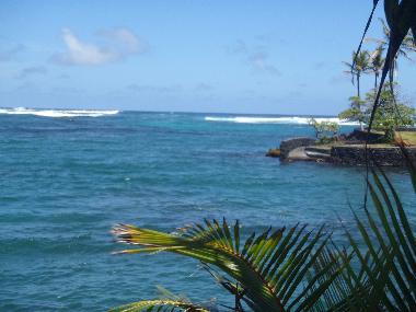 Holiday House in Pahoa (Hawaii) or holiday homes and vacation rentals