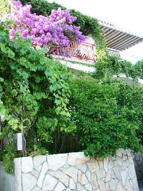 Holiday Apartment in Seget Vranjica (Splitsko-Dalmatinska) or holiday homes and vacation rentals