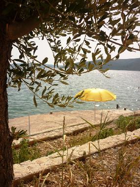 Holiday Apartment in Seget Vranjica (Splitsko-Dalmatinska) or holiday homes and vacation rentals