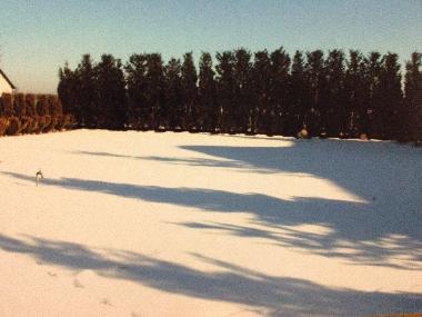 Holiday House in Rekowo (Pomorskie) or holiday homes and vacation rentals