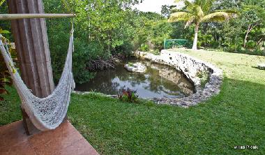 Hotel in Puerto Aventuras (Playa del Carmen) (Quintana Roo) or holiday homes and vacation rentals