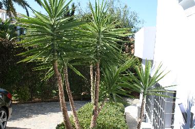 Villa in Marbella (Mlaga) or holiday homes and vacation rentals