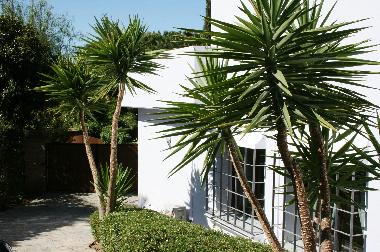 Villa in Marbella (Mlaga) or holiday homes and vacation rentals