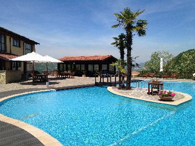 Palm island and pool lounge