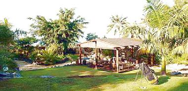 Villa in Guia de Isora (Teneriffa) or holiday homes and vacation rentals