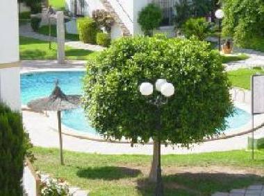 Holiday Apartment in torrevieja (Alicante / Alacant) or holiday homes and vacation rentals