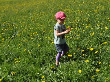 Holiday Apartment in Abtenau (Salzburg und Umgebung) or holiday homes and vacation rentals