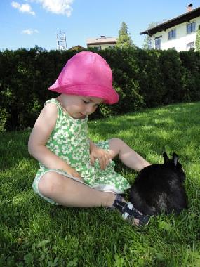 Holiday Apartment in Abtenau (Salzburg und Umgebung) or holiday homes and vacation rentals