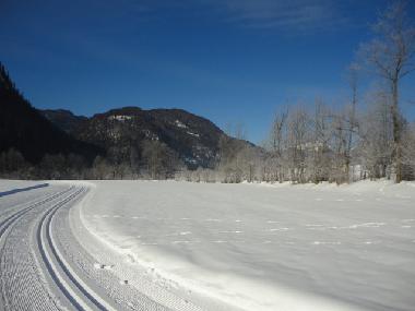 Holiday Apartment in Abtenau (Salzburg und Umgebung) or holiday homes and vacation rentals