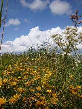 Boat in L�bara (Saaremaa) or holiday homes and vacation rentals