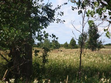 Boat in L�bara (Saaremaa) or holiday homes and vacation rentals