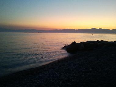 the beach 
