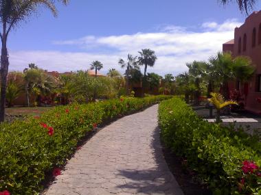 Holiday Apartment in CORRALEJO (Fuerteventura) or holiday homes and vacation rentals