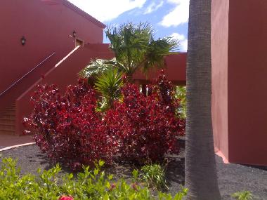 Holiday Apartment in CORRALEJO (Fuerteventura) or holiday homes and vacation rentals