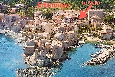 Holiday Apartment in Erbalunga Cap corse (Haute-Corse) or holiday homes and vacation rentals