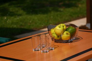 Holiday House in Ghren-Lebbin (Mecklenburgische Seenplatte) or holiday homes and vacation rentals