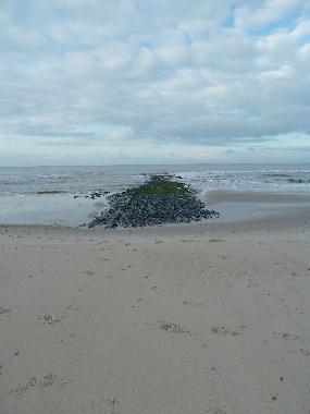 Holiday House in Callantsoog (Noord-Holland) or holiday homes and vacation rentals