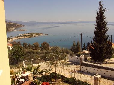 VIEW FROM THE 2nd FLOOR STUDIO WINDOW