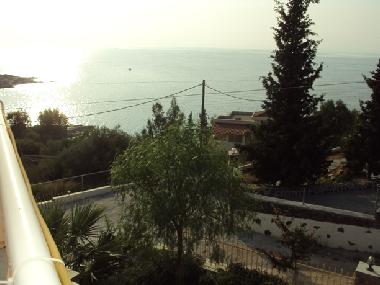 VIEW FROM THE STUDIO