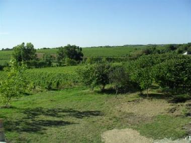 Holiday Apartment in Saint Aubin de Luign� (Maine-et-Loire) or holiday homes and vacation rentals