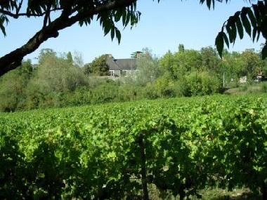 Holiday Apartment in Saint Aubin de Luign� (Maine-et-Loire) or holiday homes and vacation rentals