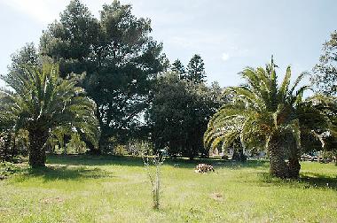 Villa in GIBA (Porto-Pino) (Carbonia-Iglesias) or holiday homes and vacation rentals