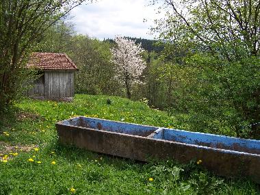 Holiday House in Anould (Vosges) or holiday homes and vacation rentals