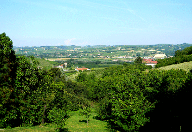 Holiday Apartment in Calamandrana (Asti) or holiday homes and vacation rentals