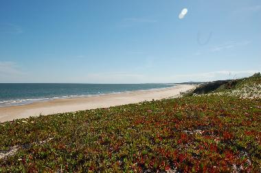 beach in front of house
