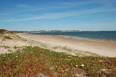 beach in front of the house looking to Punta Ballena