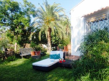 Villa in Palermo (Palermo) or holiday homes and vacation rentals