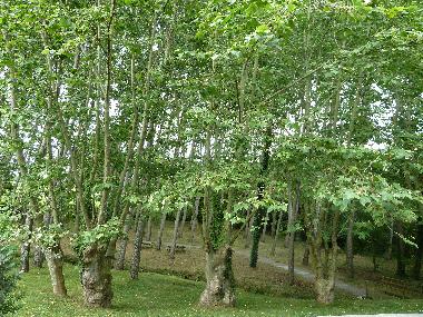 Holiday House in Anglet (Pyrnes-Atlantiques) or holiday homes and vacation rentals