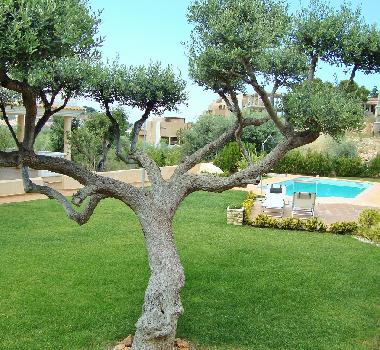 Chalet in Peiscola (Castelln / Castell) or holiday homes and vacation rentals