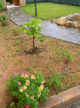 Holiday House in Capoterra (Cagliari) or holiday homes and vacation rentals