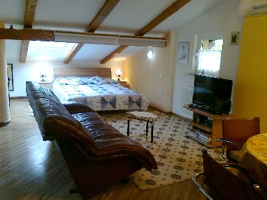 queen bed & living area