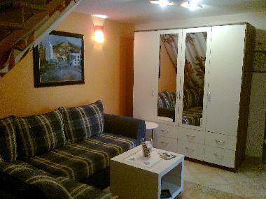 living area with TV