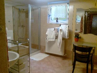 badroom with shower