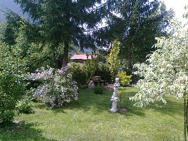 our garden