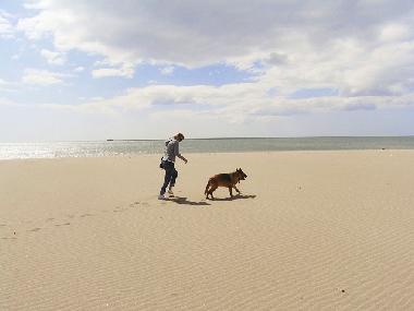 Holiday House in St. Pierre la Mer (Aude) or holiday homes and vacation rentals
