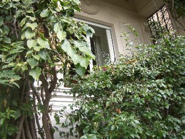 Holiday Apartment in naples (Napoli) or holiday homes and vacation rentals