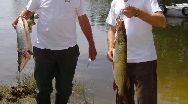 Chalet in Saint-Grons (Cantal) or holiday homes and vacation rentals