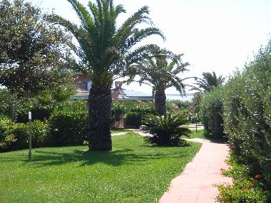 Holiday House in Stintino (Sassari) or holiday homes and vacation rentals