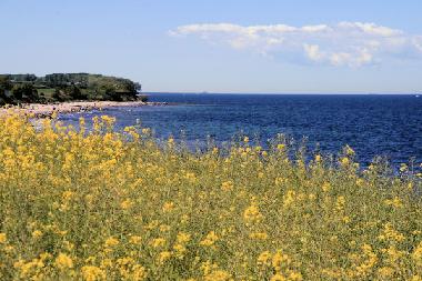 Holiday Apartment in Neujellingsdorf (Insel Fehmarn) or holiday homes and vacation rentals