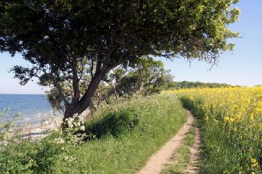 Holiday Apartment in Neujellingsdorf (Insel Fehmarn) or holiday homes and vacation rentals