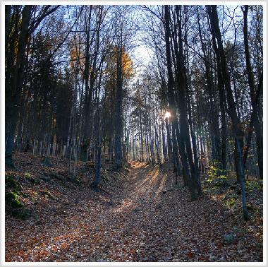 Chalet in Jelenia Gora (Dolnoslaskie) or holiday homes and vacation rentals